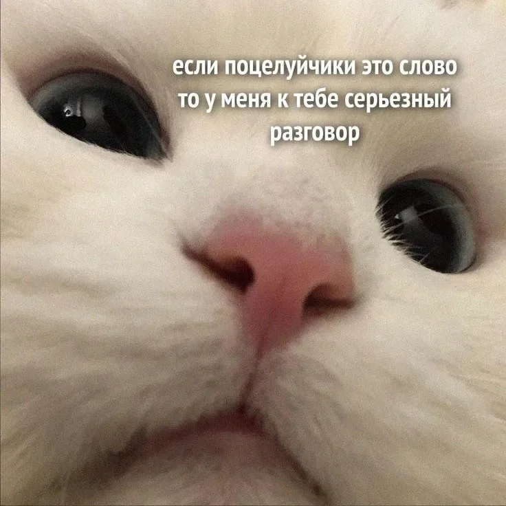 Твой день рождения, фотография 1